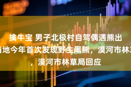 擒牛宝 男子北极村自驾偶遇熊出没，系当地今年首次发现野生黑熊，漠河市林草局回应