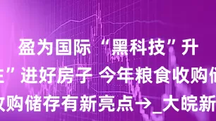 盈为国际 “黑科技”升级粮食“住”进好房子 今年粮食收购储存有新亮点→_大皖新闻 | 安徽网