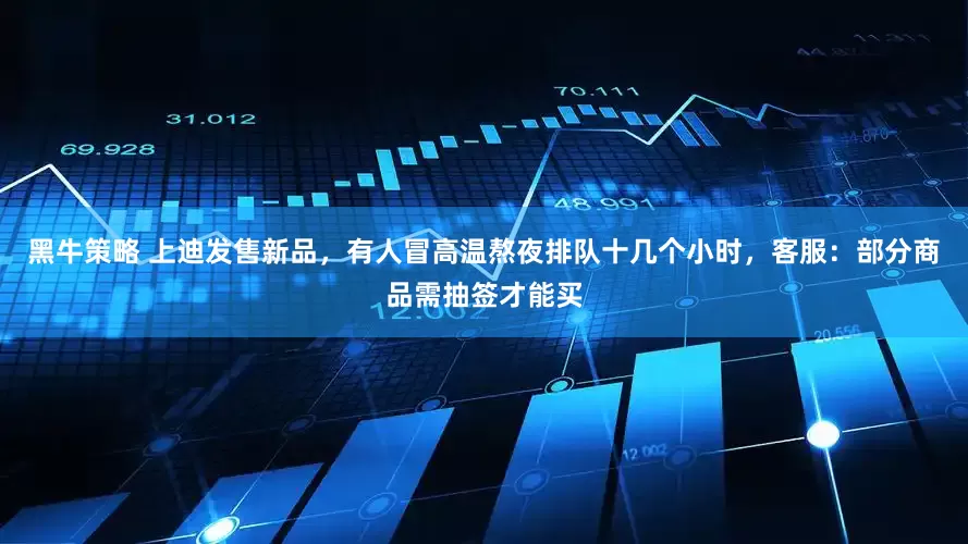 黑牛策略 上迪发售新品，有人冒高温熬夜排队十几个小时，客服：部分商品需抽签才能买