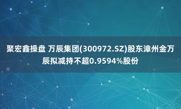 聚宏鑫操盘 万辰集团(300972.SZ)股东漳州金万辰拟减持不超0.9594%股份
