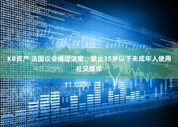 KB资产 法国议会通过法案，禁止15岁以下未成年人使用社交媒体
